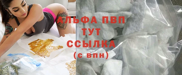 молекула духа Переславль-Залесский