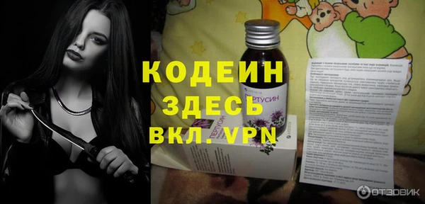 молекула духа Переславль-Залесский