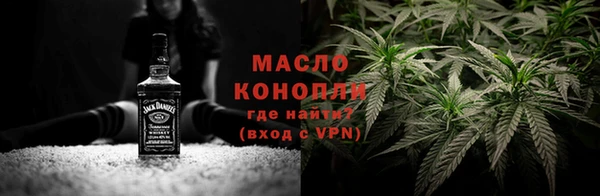 молекула духа Переславль-Залесский