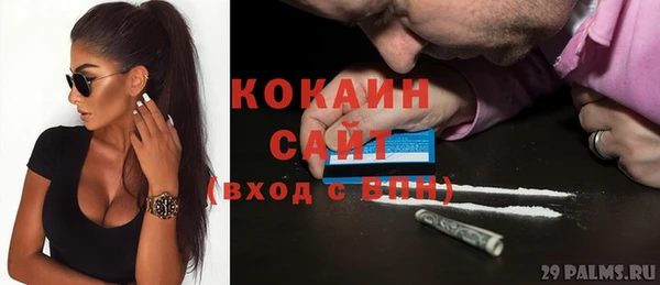 молекула духа Переславль-Залесский