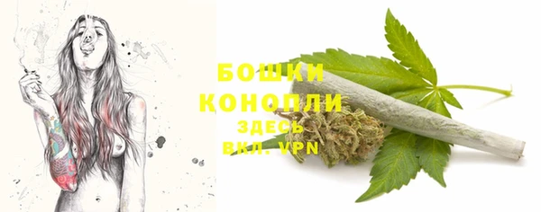 молекула духа Переславль-Залесский