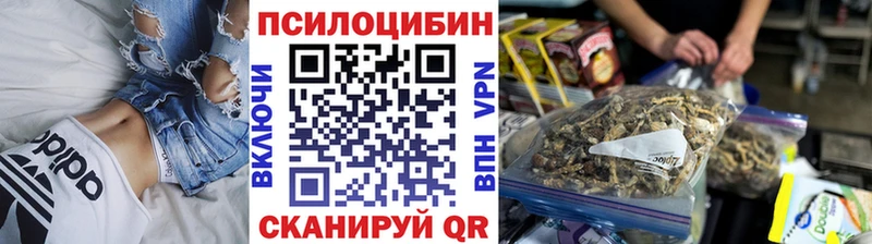 Псилоцибиновые грибы мицелий  что такое   Волжск 