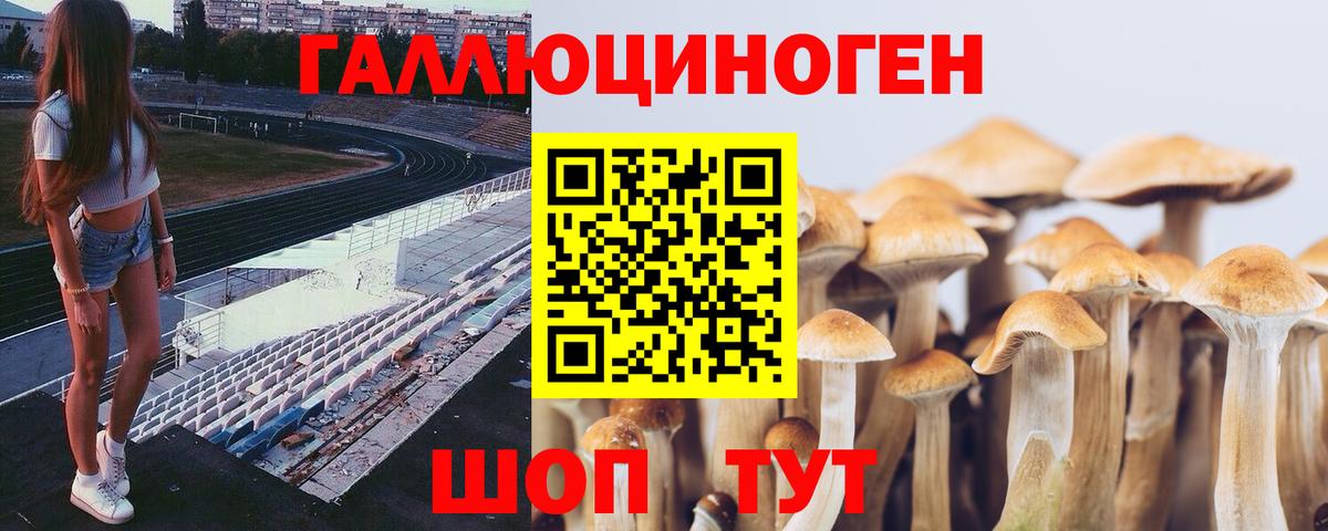 Галлюциногенные грибы Magic Shrooms  Вход с VPN  Волжск  Псилоцибиновые грибы Cubensis 