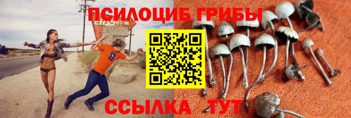Галлюциногенные грибы прущие грибы Волжск